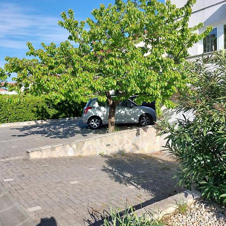 Mely Apartment Krk Town Esterno foto